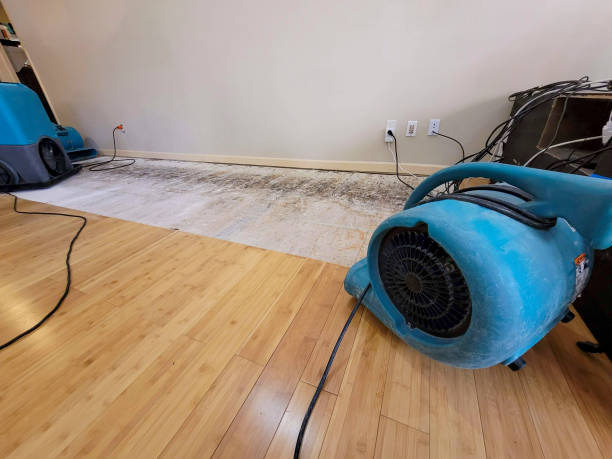 Professional Structural Drying technician working in Whitehouse, TX
